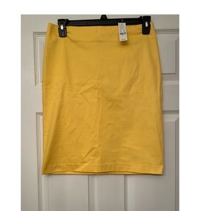 NWT pencil skirt